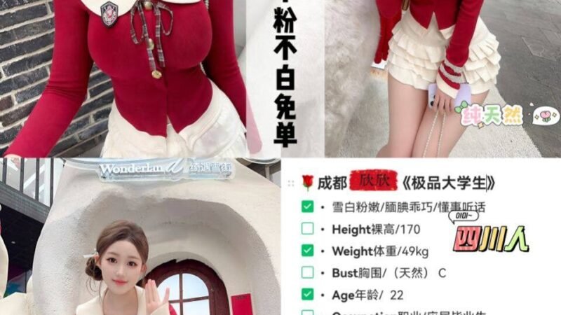 重庆渝北高端商务陪同资料封面