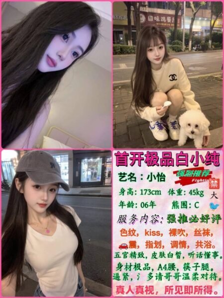 成都新都高端商务陪同资料封面