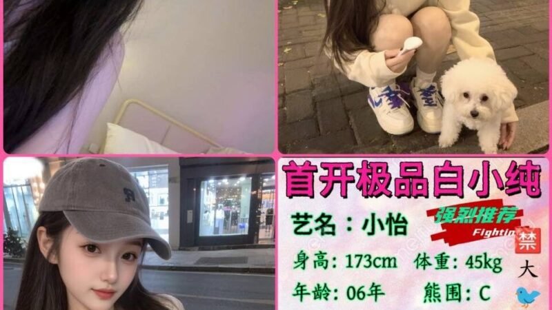 成都新都高端商务陪同资料封面
