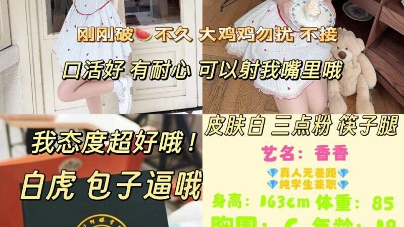 上海杨浦滨江高端商务陪同资料封面