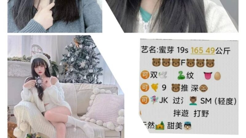 上海上海南站高端商务陪同资料封面